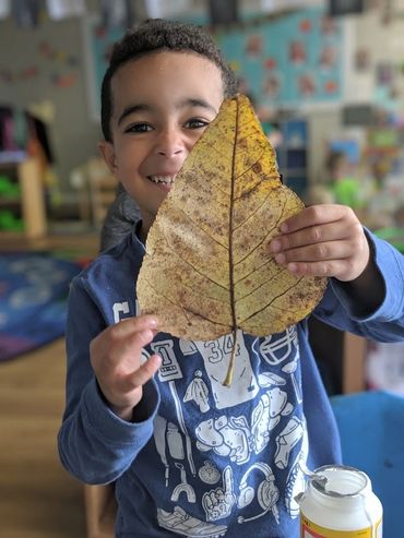 A boy holding a leaf
