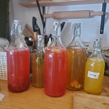 Homemade fermenting drinks in glass bottles on a kitchen counter.