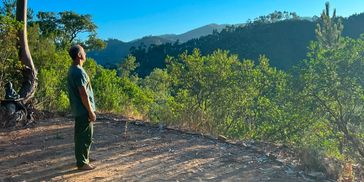 Man enjoying nature and sunlight in a forest clearing.