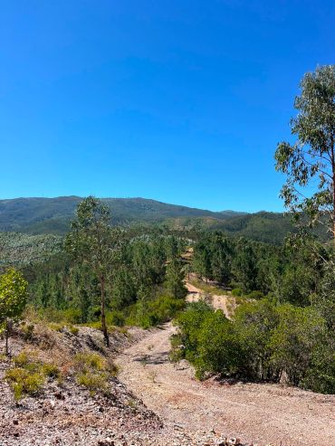Dirt path through green hills under blue sky.