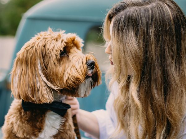 Woman with highlighted hair looks at a dog with brown and white fur.