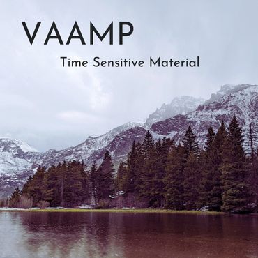 VAAMP music "Time Sensitive Material" EP cover