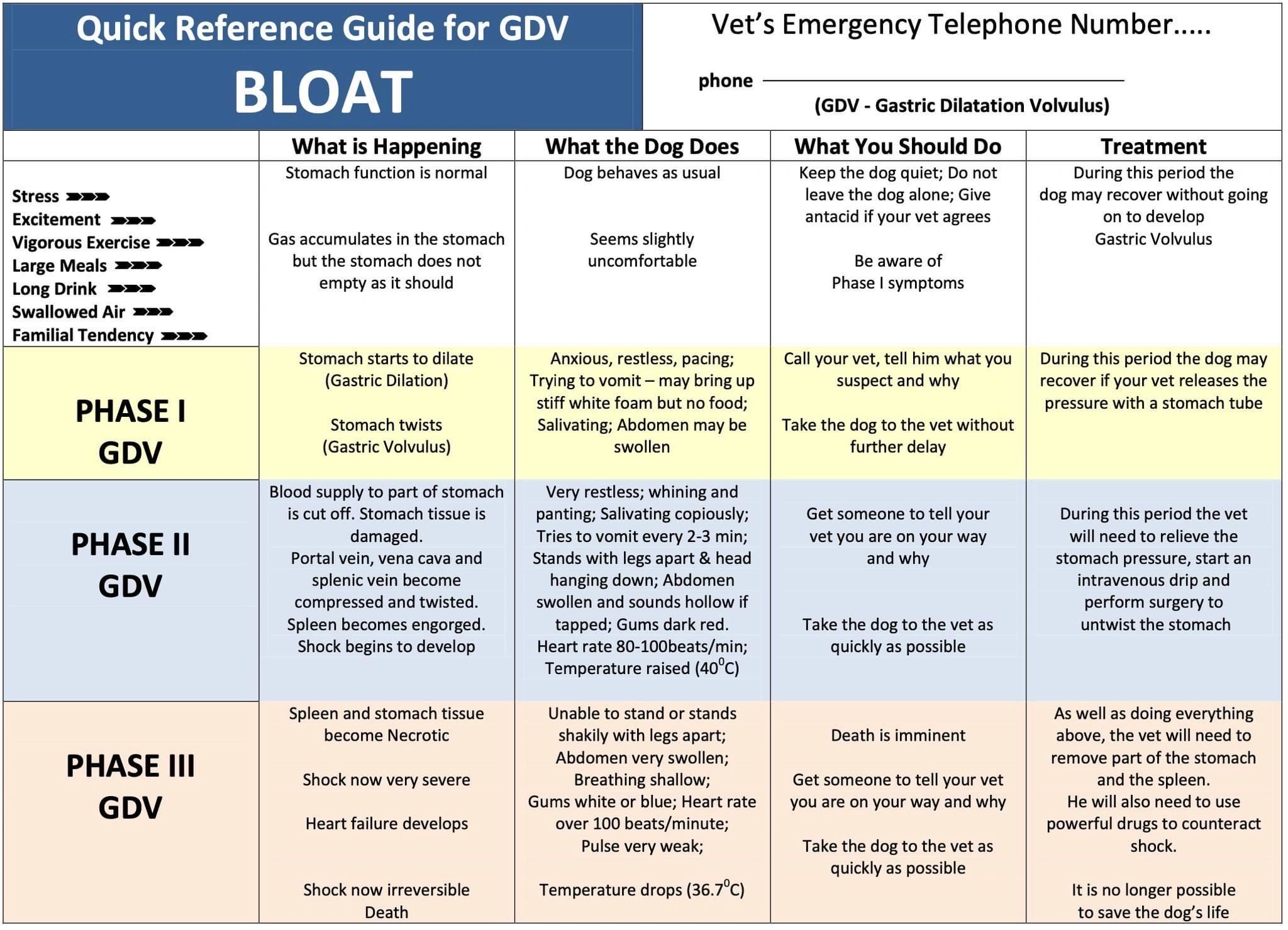 Dog Bloat: GDV Dog (Gastric Dilatation and Volvulus)