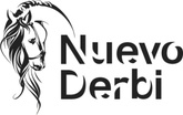 Nuevo Derbi