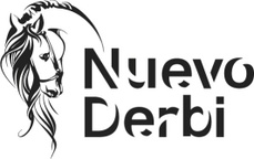 Nuevo Derbi