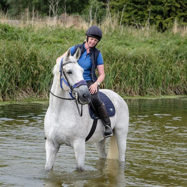 Training horses to new experiences
