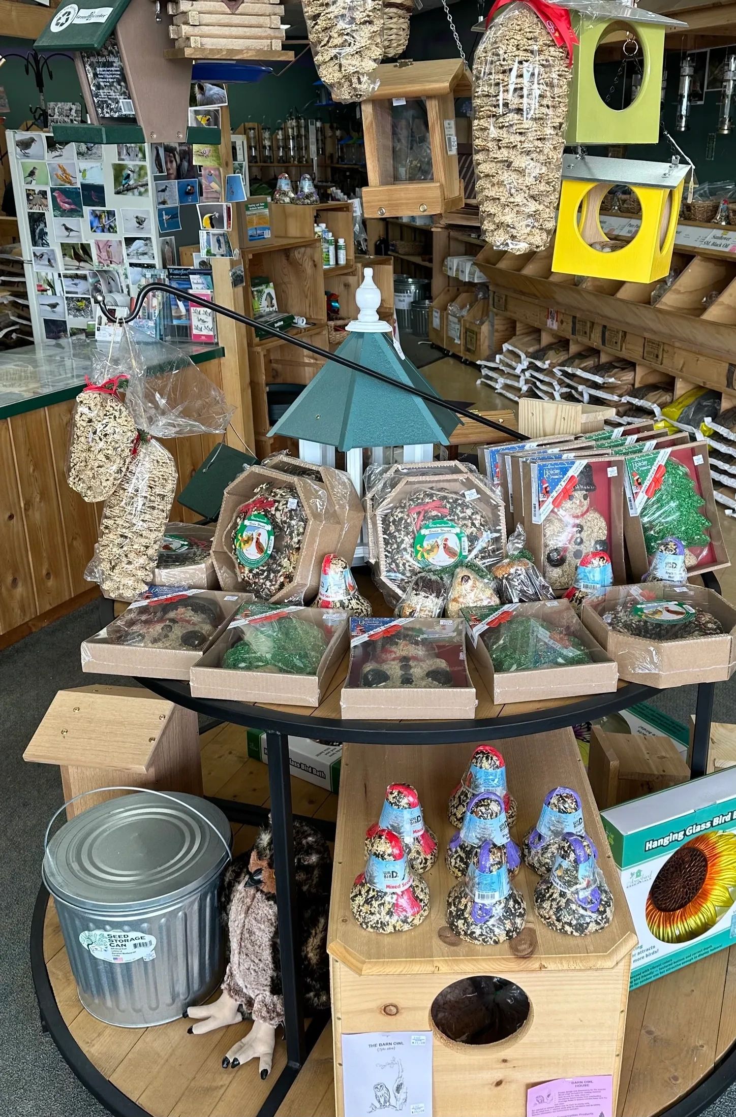 California Backyard Birds