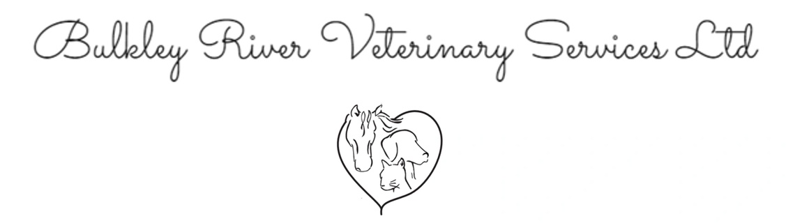 Bulkley River Veterinary Services Ltd