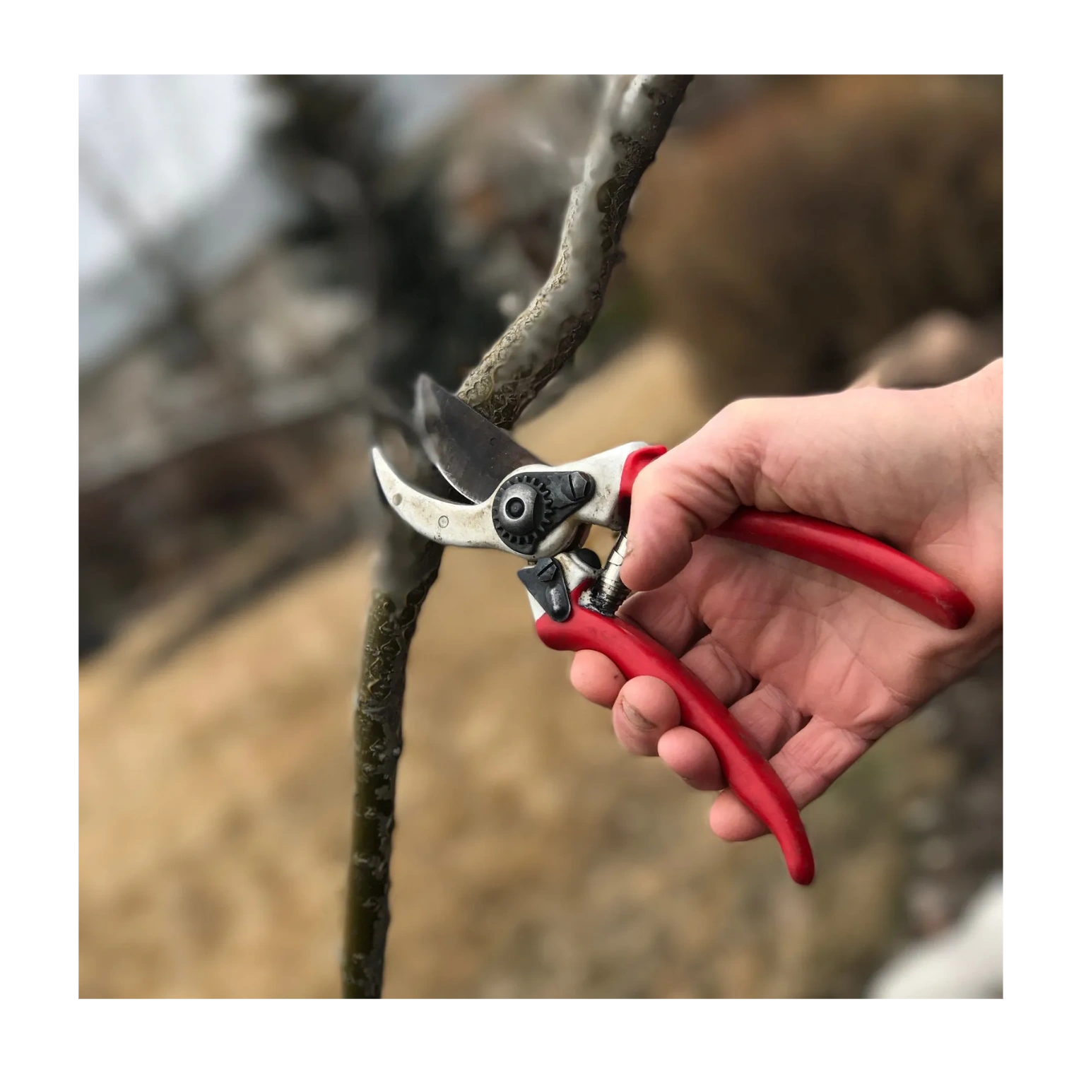 complete-list-of-services