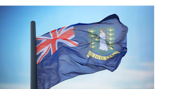 Flag of the British Virgin Islands waving against a clear sky.