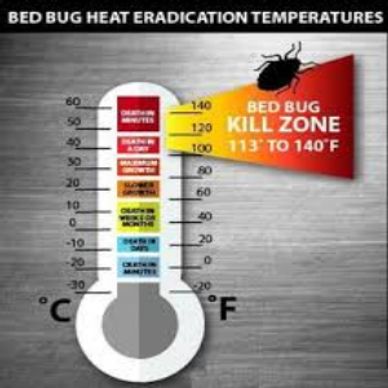 The temperature to kill bed bugs.
