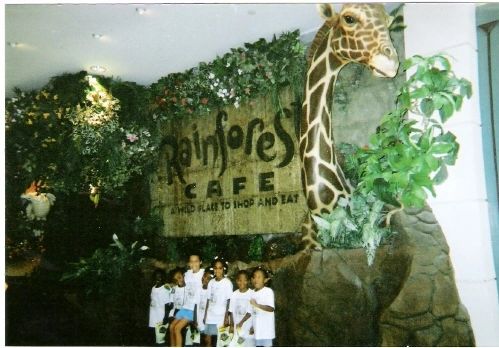 26_RainForestCafe.jpg