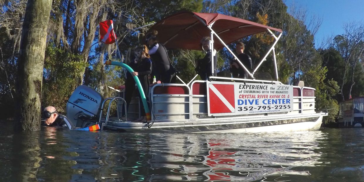 Pontoon Tours