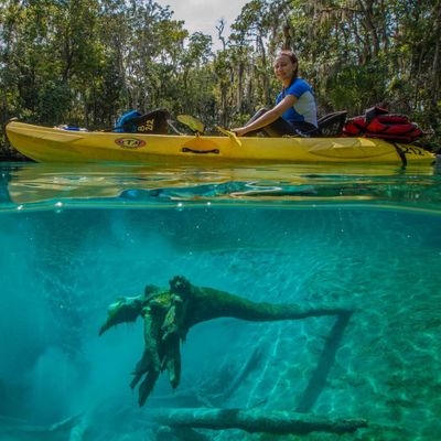 Kayak Rentals