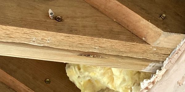 joist, roof construction, ceiling repair