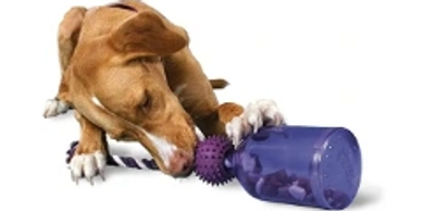 
Turn meal or treat time into playtime with PetSafe Busy Buddy Dog Toys! Fun new ways to help bust b