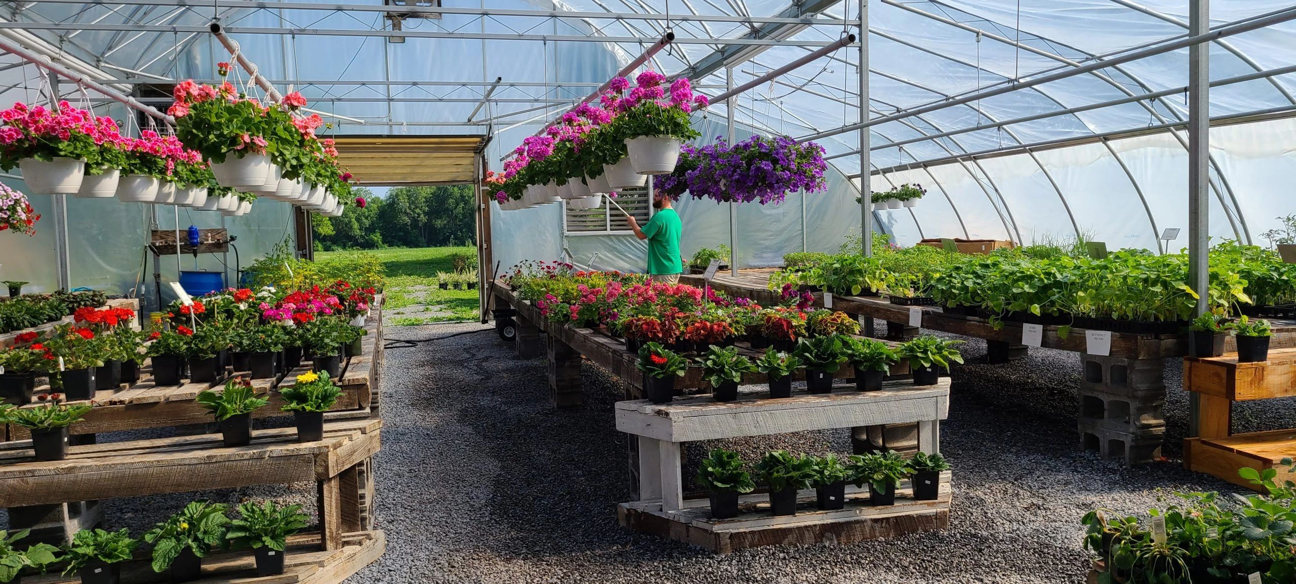 Jake's Greenhouse and Ice Cream Ice Cream, Dairy Free