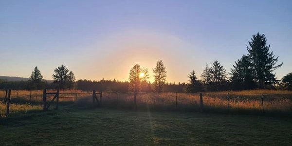 sunrise over field
