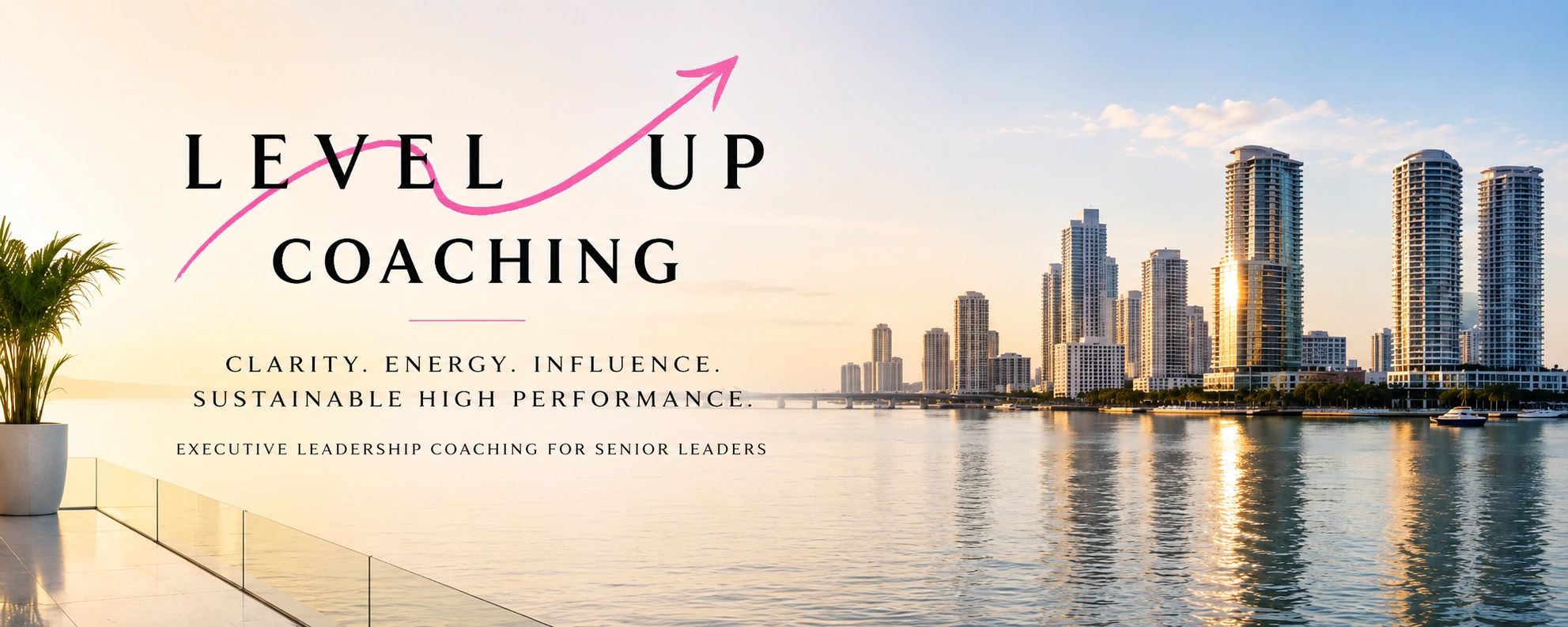 LEVEL UP COACHING
