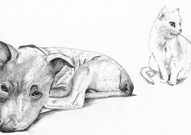 A detailed pencil sketch of a dog lying down and a cat sitting nearby.