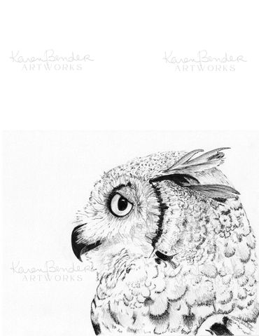 Detailed drawing of owls face
