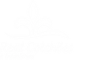 Real Colchões e interiores