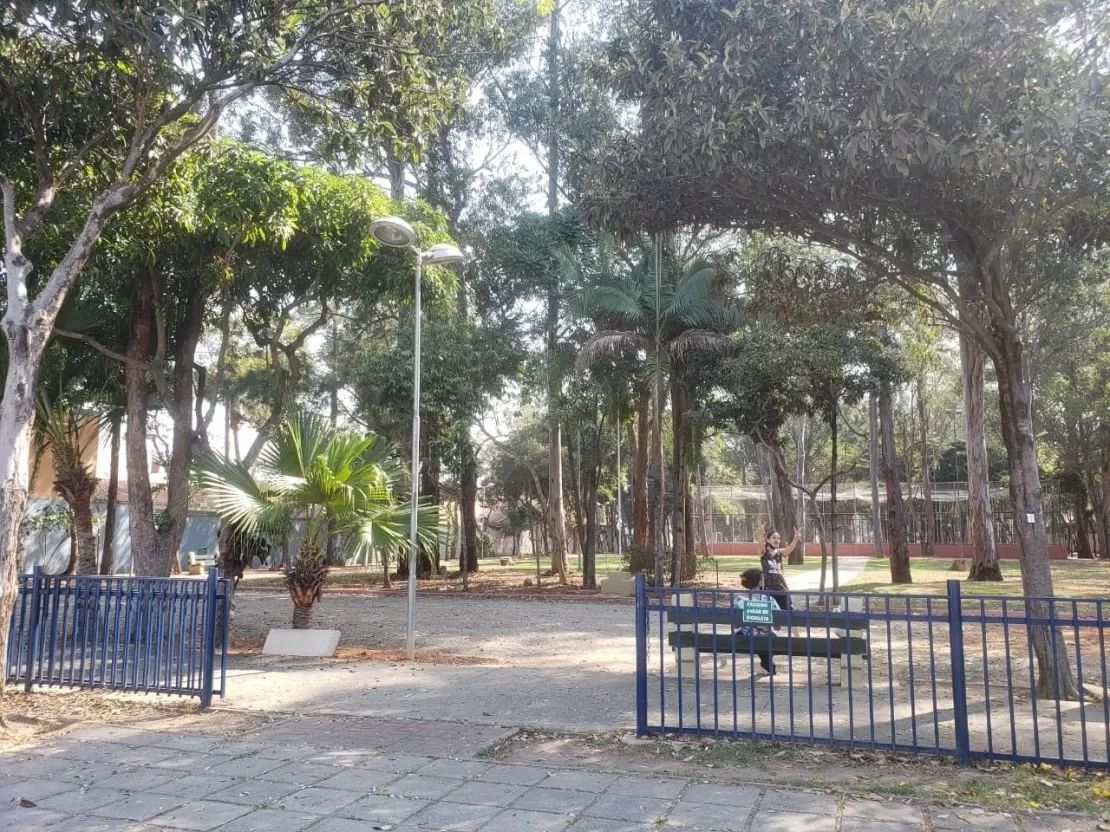 Bosque dos Eucaliptos: Por Que Investir Neste Bairro