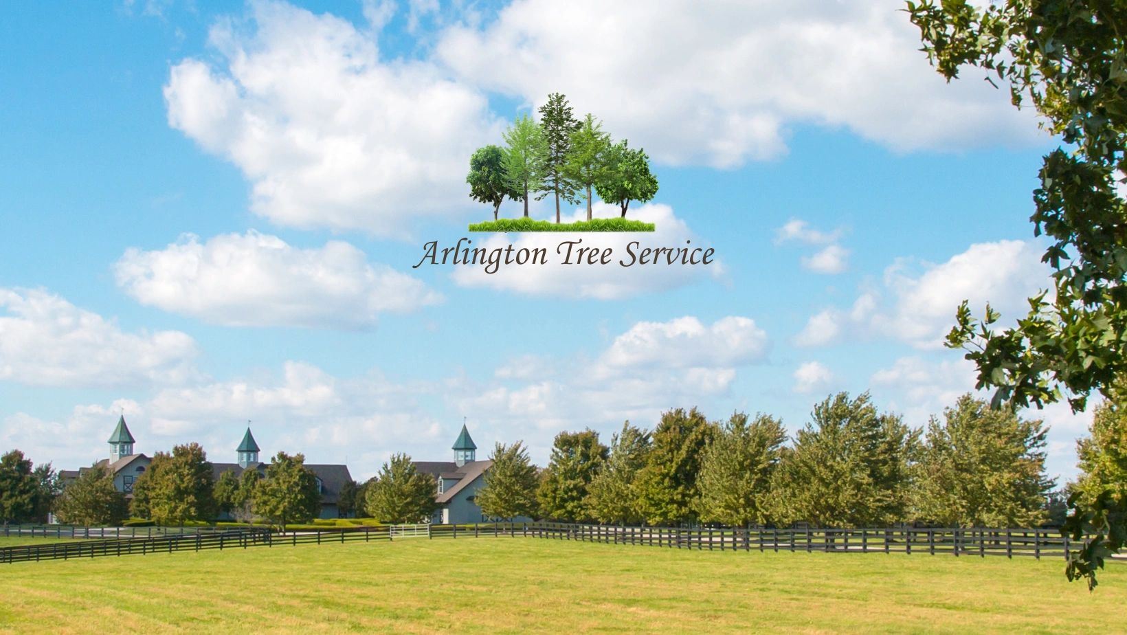 Arlington Tree Service work site
