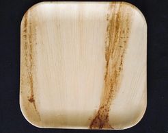 Palm Plates 