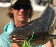 Virginia Beach Fishing Charters
Virginia Beach Cobia Fishing
Chesapeake Bay Fishing