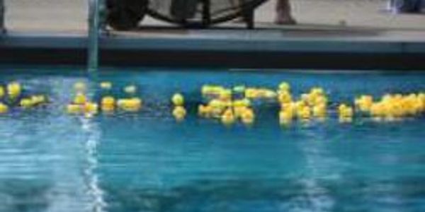 duck race jordan memorial pool
