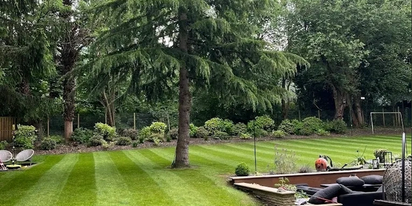 Weekly grass cut