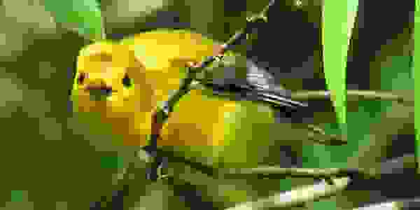 image71