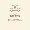 Salt River Aussiedoodles