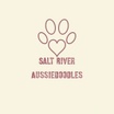 Salt River Aussiedoodles