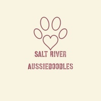 Salt River Aussiedoodles