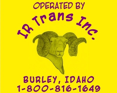 IR Trans Inc