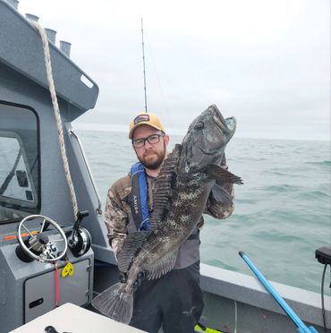 A big lingcod.