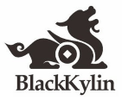 Black Kylin Investment