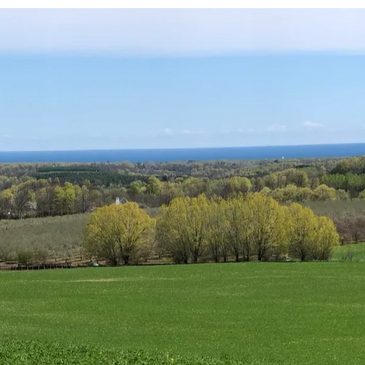 This is the view of the Niagara foothills and Georgian Bay seen from the author's writing desk. 