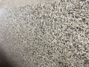 Luna Pearl Granite 