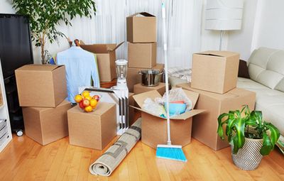 Moving & Clean Up Services