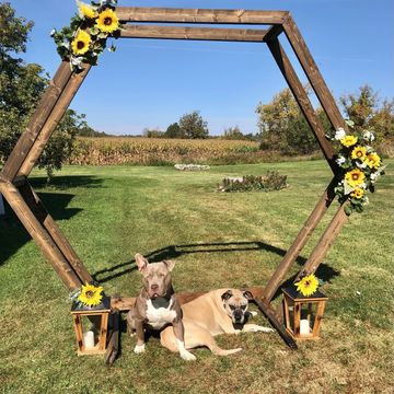 Hexagon wooden archway