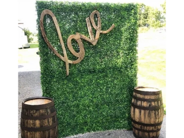 green wall for photo backdrop