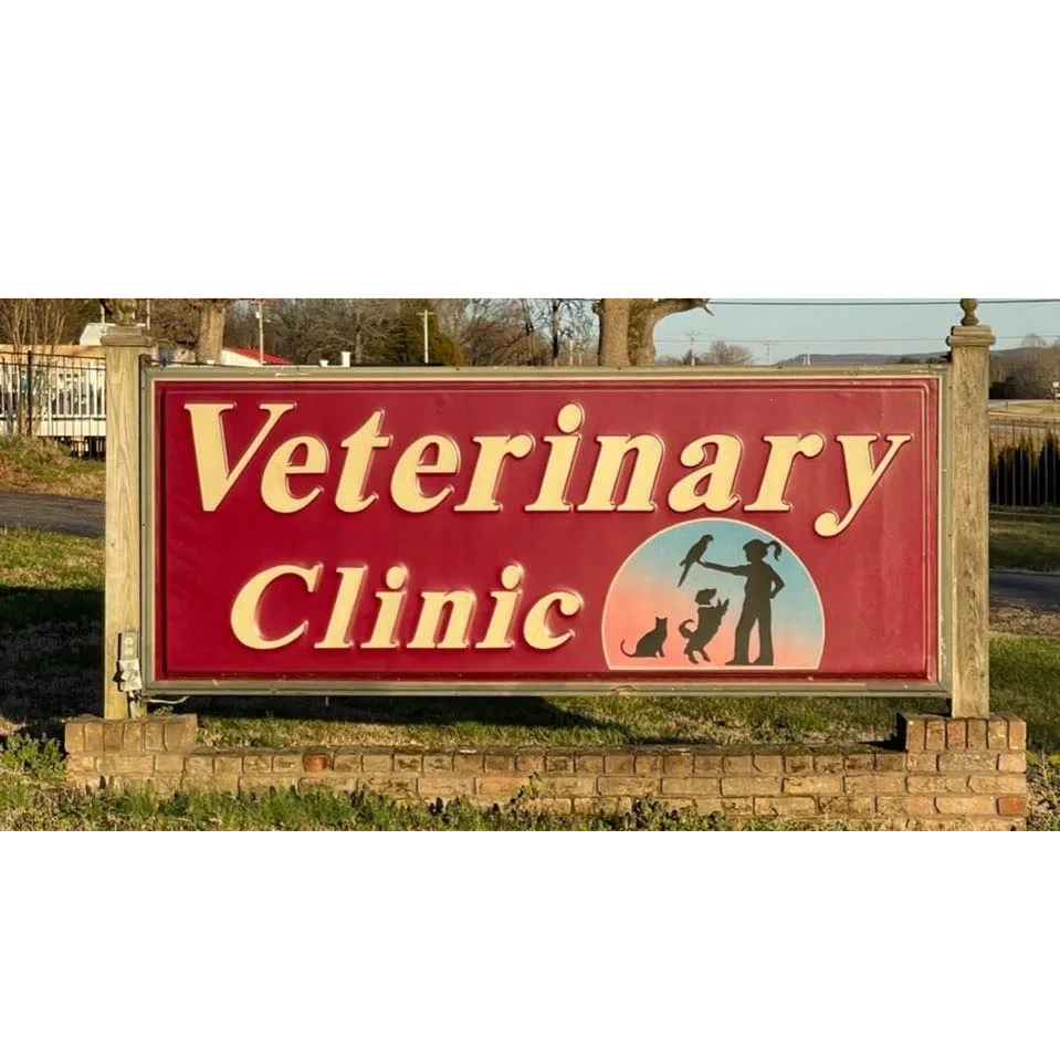 Experienced Veterinary Doctor for Cats and Dogs