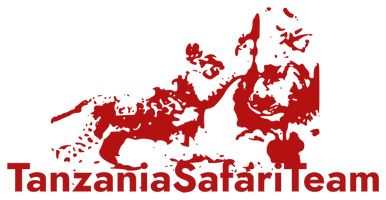 Tanzania Safari Team