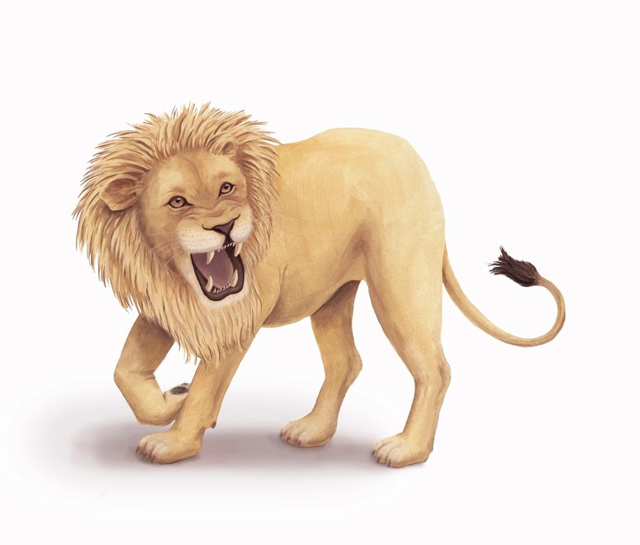 Lion Roaring: What Makes A Lion's Roar So Loud And Intimidating?