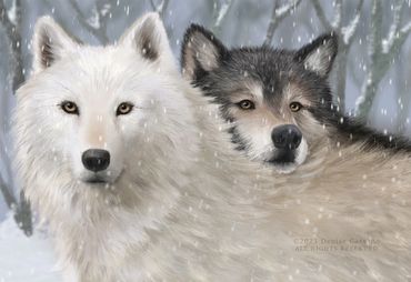 Arctic white wolf and gray wolf painting wolf art wolves in winter