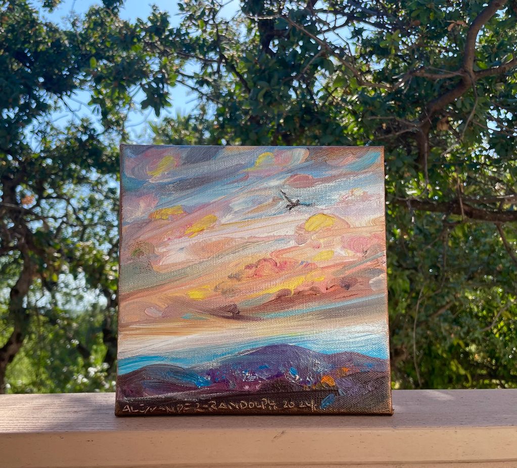 Fly Higher 
Original Oil Painting 
$255