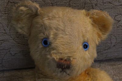 An old bear needing some TLC